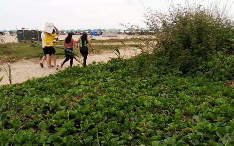 Queja. La ciudadanía asegura que hay personas en situación de calle que incluso llevan colchonetas que colocan sobre el monte para pasar allí la noche.