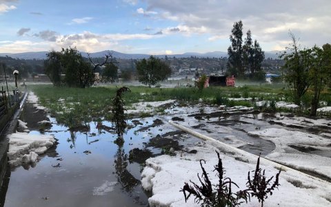 Espectáculo. Una capa blanca de hielo cubría los cultivos en la parroquia rural de Alaquez.