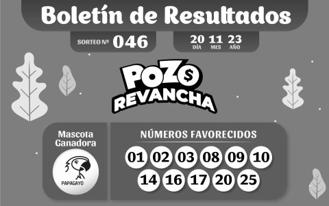BOLETIN POZO 1059, REVANCHA 046 - 20 DE NOVIEMBRE 2023