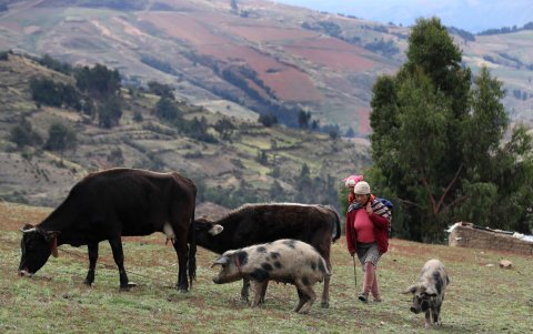 Una madre con su hija a más de 3.500 metros de altura en la región de Junín