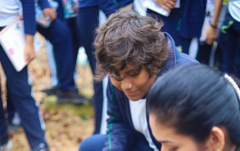 Al término de la jornada, la comunidad sembró un samán.