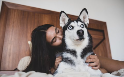 Se recomienda cambiar las sábanas y cobertores con frecuencia