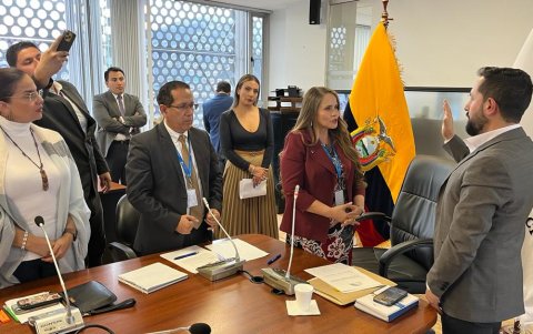 Elección. Viviana Zambrano y Adrián Castro lideran esta comisión que tiene 90 días para presentar un informe.