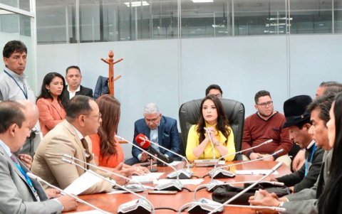 La comisión presidida por la legisladora correísta Pamela Aguirre priorizará los juicios políticos.