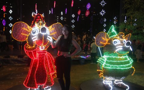 Fotografía de los tradicionales alumbrados navideños en Medellín