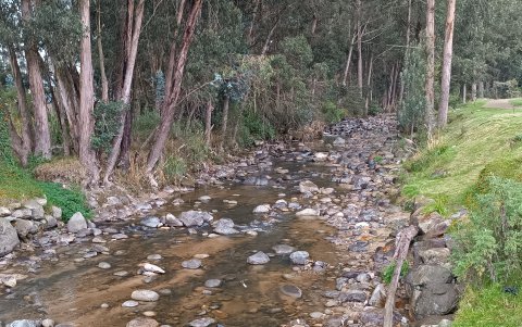 Cuenca se ha caracterizado convivir, entre lo urbano y la naturaleza. Hoy sus afluentes registran bajos caudales.