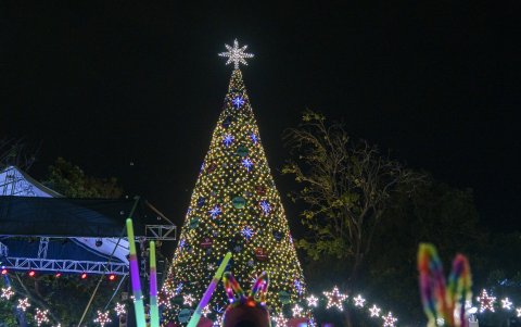 El arbol estuvo decorado con estrellas, copos de nieve y cientos de luces LED.