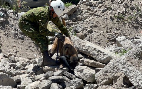 Durante el ejercicio de búsqueda en estructuras colapsadas participaron canes
entrenados.