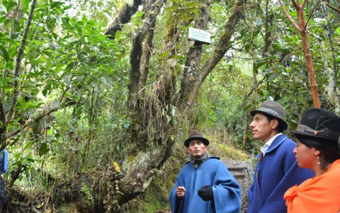 Los habitantes de Oyacachi son los cuidadores del agua y el páramo.