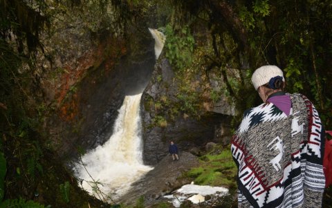 Por la boca del oso se ingresa al sendero de las cascadas.