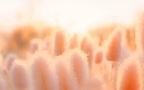 El equipo de Pantone dice que buscan que el nombre del color del año resuene y transmita de manera clara e intuitiva el mensaje que buscan enviar.