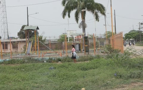 Monte. Alrededor de parques hay mucha maleza y charcos de agua que se forman con media lluvia