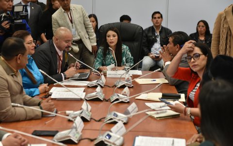 Desde la mesa de Fiscalización de la Asamblea se impulsa el juicio político a la fiscal Diana Salazar.