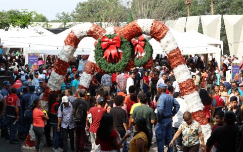 Panorama. Así lució un espacio de la plaza Guayarte.