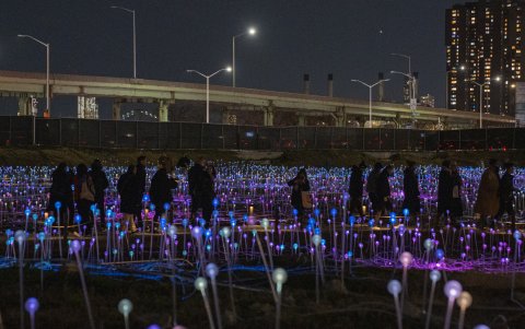 La Freedom Plaza de Nueva York se llenó de luz con 
