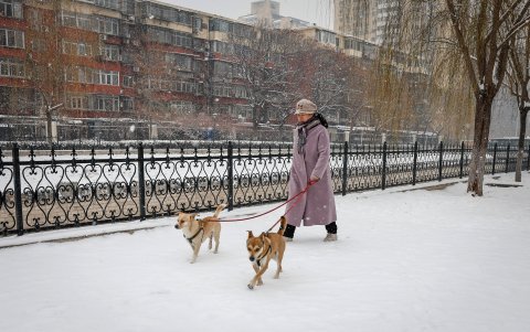 La caída y acumulación de nieve han comenzado a causar trastornos en la ciudad, donde las escuelas y los jardines de infancia han sido cerrados, y el transporte público se ha visto afectado.