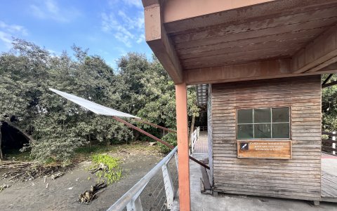 Deterioro. En el entorno de Santay se observa, además de deterioro, zonas secas. Hasta la vegetación se marchita.