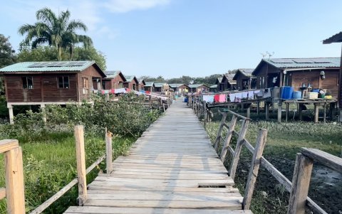 Servicios. No tienen agua potable, la mayoría de los paneles solares no funcionan.