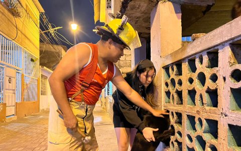 Instantes donde el can se encontraba atrapado.