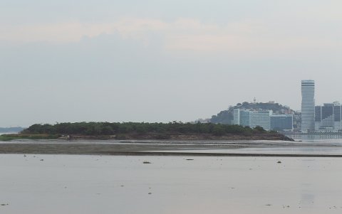 El Palmar. Retirar el banco de sedimentación del islote ha sido un pedido colectivo por años.