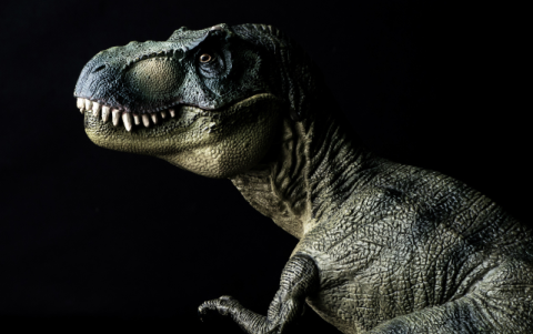 El T. rex fue un gigante carnívoro que vivió durante el período Cretácico