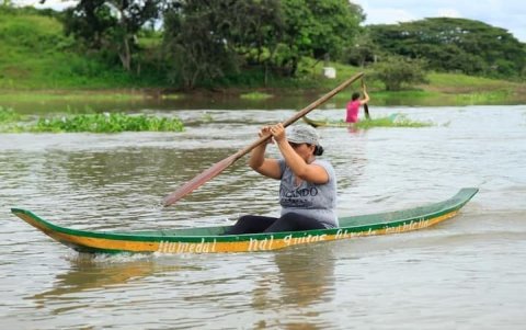 Son el medio de transporte para personas y productos del agro