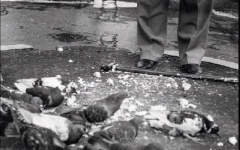 Portada de la obra 'Albergue'.