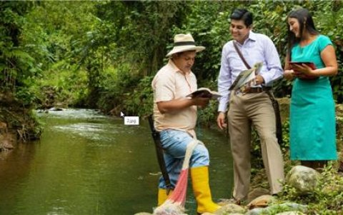 Testigos de Jehová.