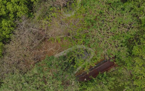 Alrededor de 1,7 hectáreas tiene este manglar de Samborondón