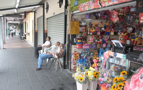 Florería. Hasta da sueño cuando no hay clientes.