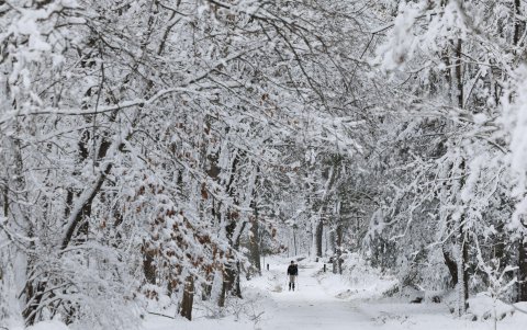 Un hombre atraviesa el Parque Histórico Nacional Minute Man cubierto de nieve, en Lincoln, Massachusetts (EE.UU.), este 9 de enero de 2024.