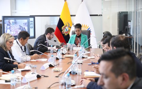 La mesa de Garantías Constitucionales, presidida por Paola Cabezas, fiscaliza el censo poblacional de 2022.