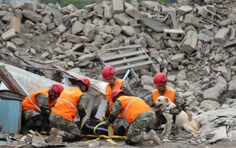Rescate. Los perros se preparar para salvar a víctimas de los desastres naturales.
