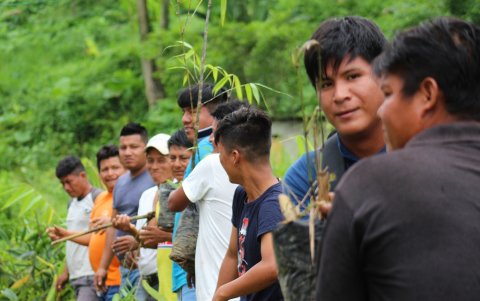 Sobre el enamoramiento de las parejas chachis, actualmente lo pueden realizar con hombres y mujeres de otras etnias.