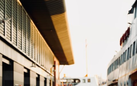 Muchos de ellos pueden regresar, pero otros no lograrían tener orientación