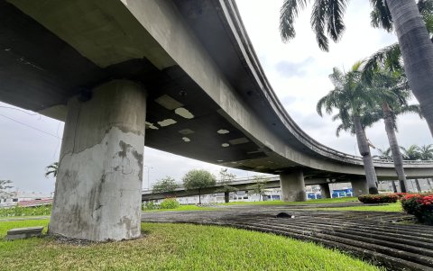 Estructura. Estas columnas deben ser evaluadas para que estas sean intervenidas y se eviten daños graves.