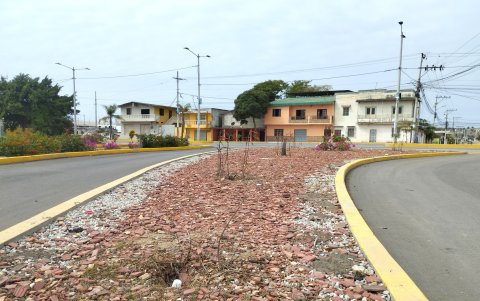 Áreas verdes. Los árboles que se plantaron cerca del parque murieron. Llevan secos ya casi un año también.