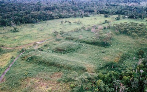 Reproducción de una foto área de un grupo de montículos a manera de tolas o terrazas halladas en la zona de las investigaciones arqueológicas, cerca del barranco del río Upano.