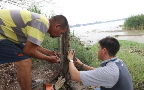 Con cámaras se monitorea el movimiento de las aves.