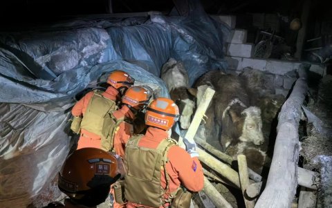 Los rescatistas buscan en una zona afectada por el terremoto en el municipio de Yamansu, condado de Wushi de la prefectura de Aksu.