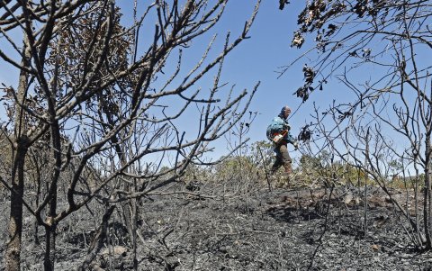El incendio que comenzó el lunes 22 de enero de 2024 en los cerros orientales de Bogotá sigue activo y se ha extendido afectando a aproximadamente cuatro hectáreas.