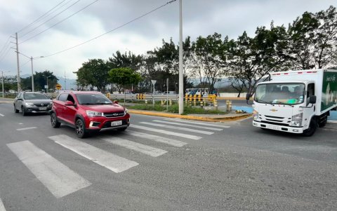 Fauna. El lado sur de la carretera ya cuenta con una vía interna, pero los árboles talados no fueron reemplazados por otros nativos de la zona. Los que están en el parterre central son invasores.