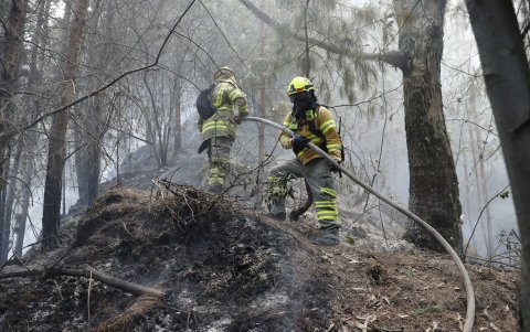 Bomberos trabajan en la extinción de un incendio este jueves 25 de enero de 2024, en el cerro El Cable, en Bogotá (Colombia).