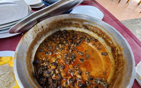 El encocado es un plato que se consume en cualquier época del año