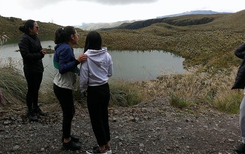 En la comunidad de La Esperanza, en Tufiño, en medio del bosque de los frailejones aparecen mostrando su encanto las lagunas verdes.