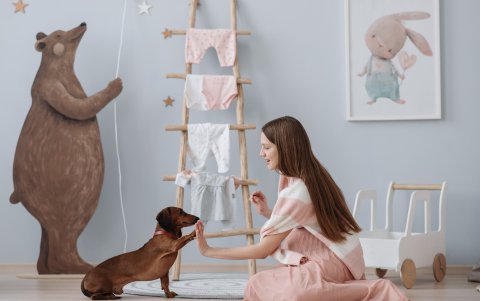 Expertos explican que los canes tienen el razonamiento de un niño de un año.