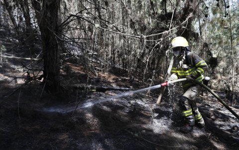 Las autoridades han contabilizado una treintena de incendios en diferentes partes del país esta semana, algunos de los cuales ya fueron sofocados, al tiempo que se informa de nuevos focos de fuego.
