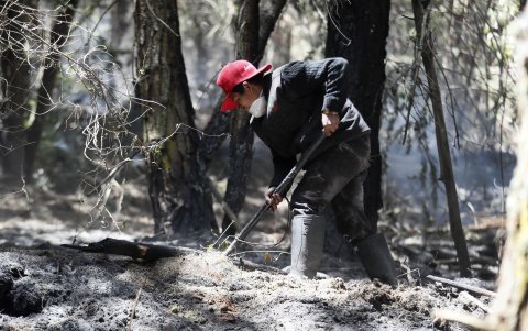 Un voluntario habitante del sector ayuda en el combate de un incendio forestal, en Nemocón, municipio cercano a Bogotá (Colombia).