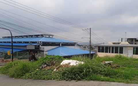 En la Juan Montalvo no importa la zona, se ve maleza en las distintas calles y espacios públicos.