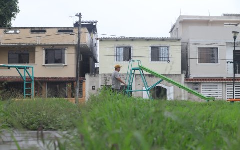 Parques. Las áreas verdes de los parques pequeños de varias manzanas están sin mantenimiento.